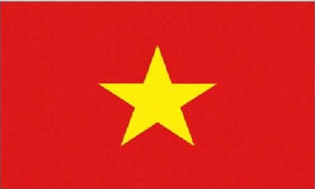 Vietnamese Language